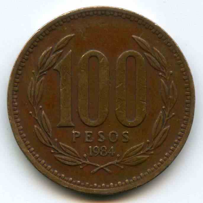 100  1984  ׳